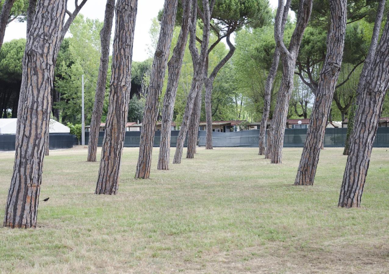 فندق Casa Per Ferie Il Pioppo مارينا دي ماسا المظهر الخارجي الصورة